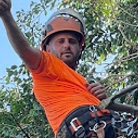 מתן