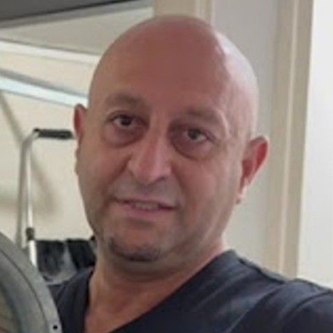 אילן