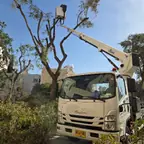עבודה של אלירן, מפעיל מנוף (3)