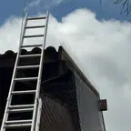עבודה של בועז, מדביר (4)