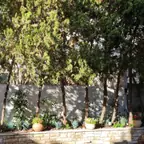 עבודה של אילן, גנן (10)