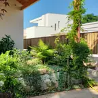עבודה של ערן, גנן (10)
