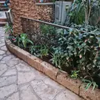 עבודה של ערן, גנן (11)