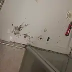 עבודה של ציון, מאתר נזילות (1)