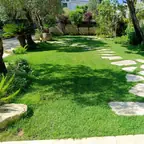 עבודה של ניר, גנן (1)