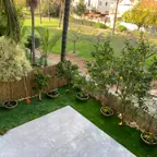 עבודה של שי, גנן (10)