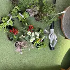 עבודה של רן, גנן (2)