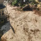 עבודה של דימה, גוזם עצים (7)