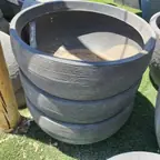 עבודה של מרכז הגינון והעץ אשקלון, גנן (6)