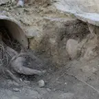 עבודה של דניאל, אינסטלטור (11)
