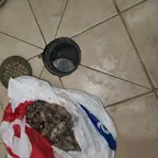 עבודה של קובי, אינסטלטור (12)