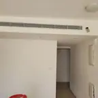 עבודה של רפי, צבע (3)