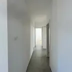 עבודה של דניאל, צבע (1)