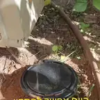 עבודה של מור, מדביר (2)