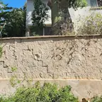 עבודה של דימה, גוזם עצים (20)