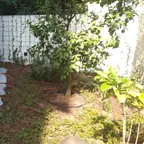עבודה של נדב, גנן (22)