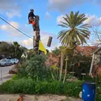 עבודה של שמעון, גנן (2)