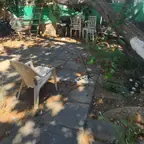 עבודה של דימה, גוזם עצים (9)