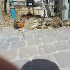 עבודה של דניאל, אינסטלטור (2)