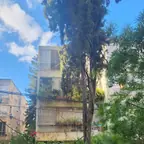 עבודה של דימה, גוזם עצים (15)