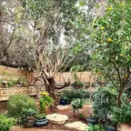 עבודה של אילן, גנן (7)