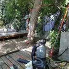 עבודה של אוראל, מדביר (2)