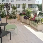 עבודה של אילן, גנן (3)