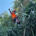 עבודה של מתן, גוזם עצים (2)