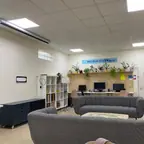 עבודה של דניאל, צבע (5)