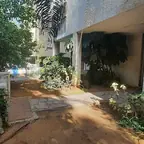 עבודה של רן, גנן (3)
