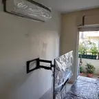 עבודה של רפי, צבע (1)