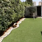 עבודה של עמית, גנן (1)