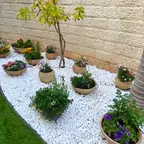 עבודה של איציק, גנן (10)