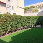 עבודה של ניר, גנן (2)