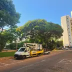 עבודה של דימה, גוזם עצים (23)