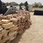 עבודה של מרכז הגינון והעץ אשקלון, גנן (5)
