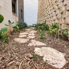 עבודה של נדב, גנן (11)