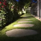 עבודה של אורן, גנן (4)