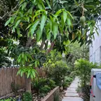 עבודה של נדב, גנן (24)