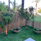 עבודה של שי, גנן (13)