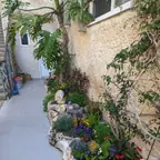 עבודה של ערן, גנן (4)
