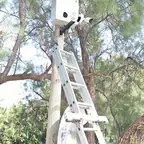 עבודה של עמית, טכנאי אזעקות ומצלמות (2)