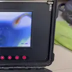 עבודה של דוד, מאתר נזילות (3)
