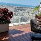 עבודה של אילן, גנן (4)