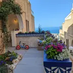 עבודה של ערן, גנן (14)