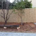 עבודה של פורת, גנן (8)