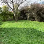 עבודה של שמעון, גנן (2)