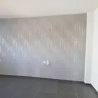 עבודה של זיו, צבע (1)