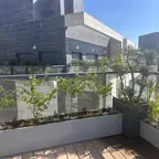 עבודה של מודי, גנן (9)
