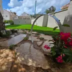 עבודה של שגיא, גוזם עצים (5)